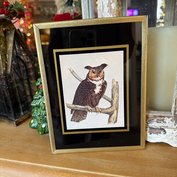 1971 Reverse paint Owl pictures - Picture 5 of 14